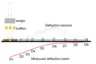 Measurements with a Falling Weight Deflectometer (FWD) deliver key data on road pavement structure and layer quality.