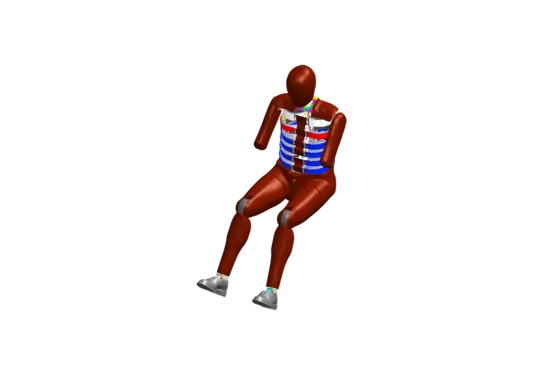 WorldSID-50M is a 50th-percentile male side-impact anthropomorphic test device (ATD) used in testing by Euro NCAP.